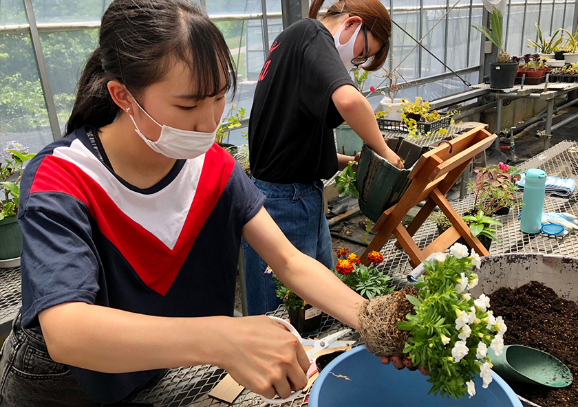 花き装飾コース 専門学校 岐阜県立国際園芸アカデミー