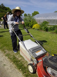 ロータリー式芝刈り機の写真