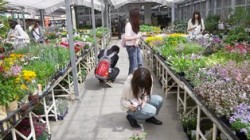 学外実習 植物調査の写真1