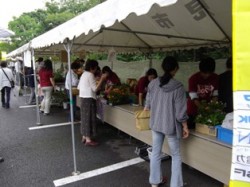 昨年の学園祭の様子の写真2