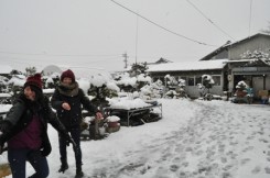 雪の降る盆栽園