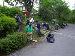 除草作業