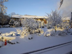 アカデミーの雪景色