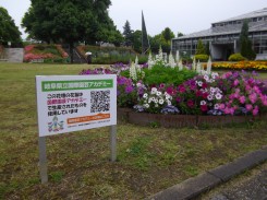 花壇にはアカデミーの看板が設置してあります