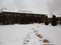 本館前の芝生に積もった雪