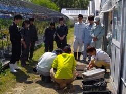 培養土の吸水具合を花き生産コース２年生の先輩がチェック