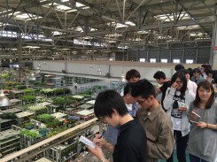 市場の広さと植物の多さに驚く