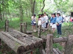 昭和村の現代アート「キノコの食卓」