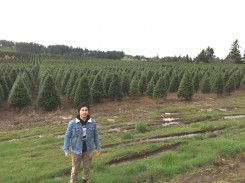 オレゴン州は樹木生産が盛んなところです。