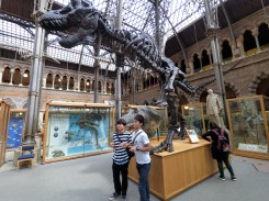 オックスフォード大学の博物館で恐竜の化石に対面