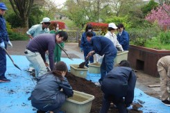 良く混ぜた土をプランターに入れる