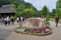 平成記念公園「昭和村」小植栽地現地調査