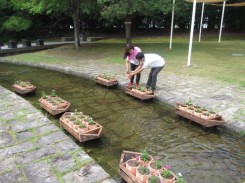 花苗を美術館庭園に設置する学生