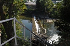 虎渓用水広場の水は永保寺近くの土岐川から取水