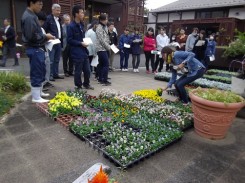 花壇に定植する苗の説明を受ける学生