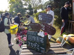 農大祭での花販売の様子