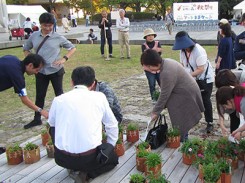 アートまるけっとで展示した鉢花の配布