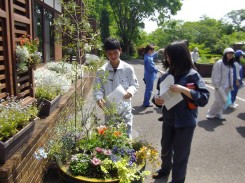 玄関前の織部鉢の管理方法の説明をしています