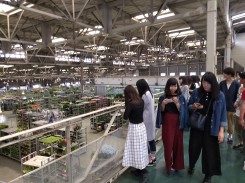 様々な商品が集まる豊明花き市場