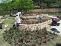「花と緑の棚田」で植栽をする国際園芸アカデミーの学生