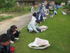 芝生に中に生える雑草を除草する国際園芸アカデミーの学生