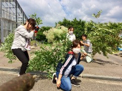 プランツハンター参上！