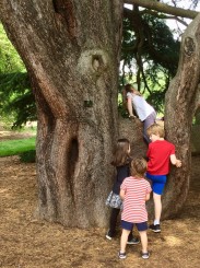 木が遊具の子ども達。