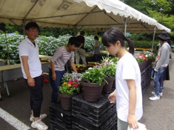 花販売の準備。昨年の売上を上回ると「いいこと」があるそうです