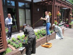 花苗を植栽する時に水糸を使う