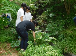 花束に使用する葉を収穫する学生