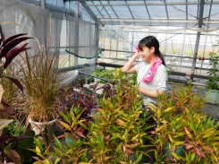 温室の植物に水をやる学生