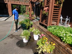 花壇に水をやる学生