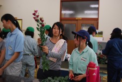 トルコキキョウの葉かきを高校生に指導する学生