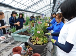 温室で寄せ植えを制作する学生ら
