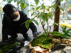 苔を張る学生