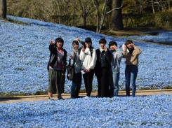 園芸装飾実習（花フェスタ）