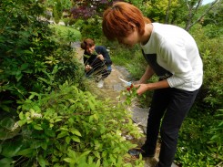 花材の収穫をする学生ら