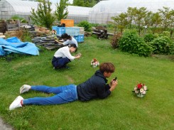 芝生の上でアレンジメントの写真を撮る学生ら