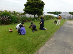 芝生の上でアレンジメントの写真を撮る学生ら