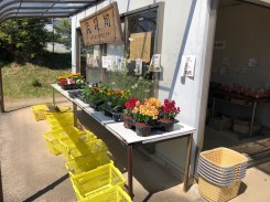 野菜も花も鮮度抜群!