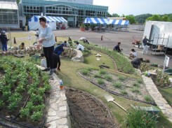 実習フィールドでの植栽風景。学生が植栽。