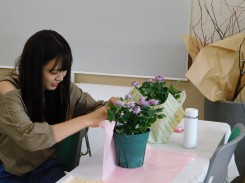 紫のバラの鉢をラッピングする学生