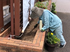 黙々と除草作業に取り組んでいます