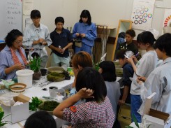 園芸装飾（苔玉） 