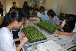 花き生産コースの体験授業