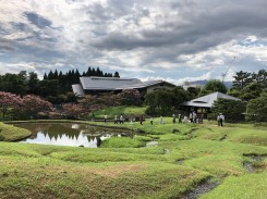 一列になって野筋を歩きました