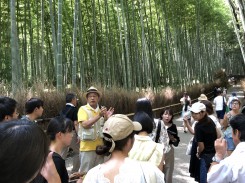 嵯峨野の竹林にて