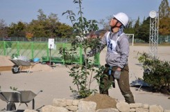 樹木を植栽し剪定をする