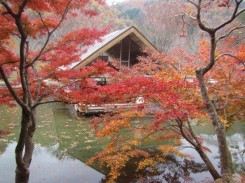 池泉と建物と紅葉