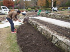 チューリップ球根の植え付け前の耕起